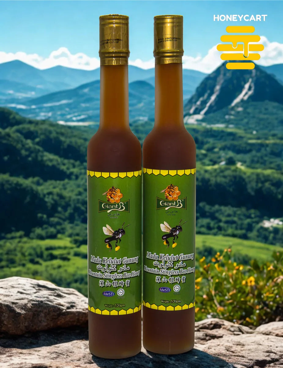 Stingless Bee Honey (Mountain)