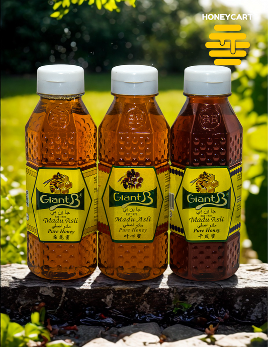 Honey for Starter Collection