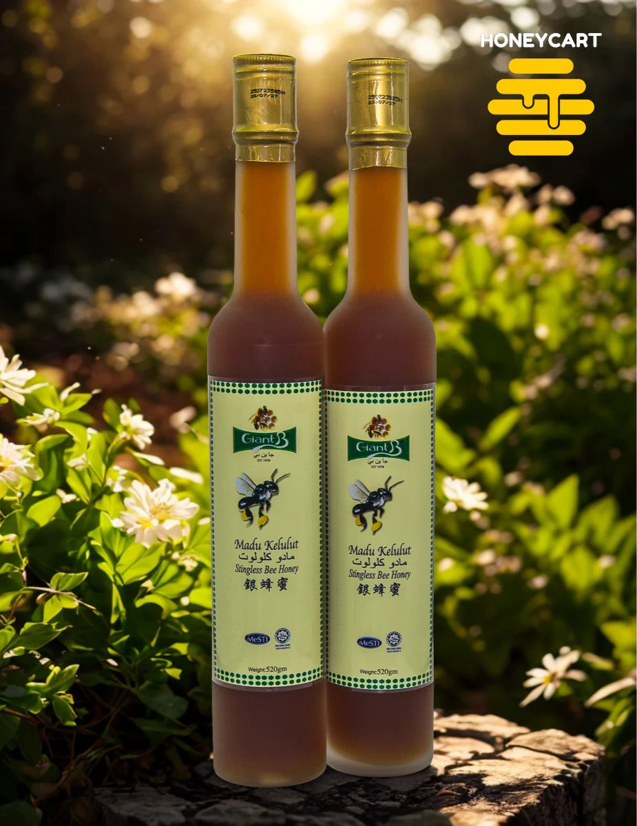 Stingless Bee Honey